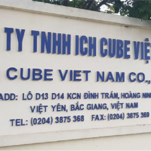 cong ty tnhh ich cube viet nam